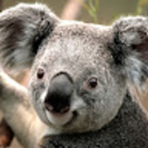 Meet your Posher, Julieth